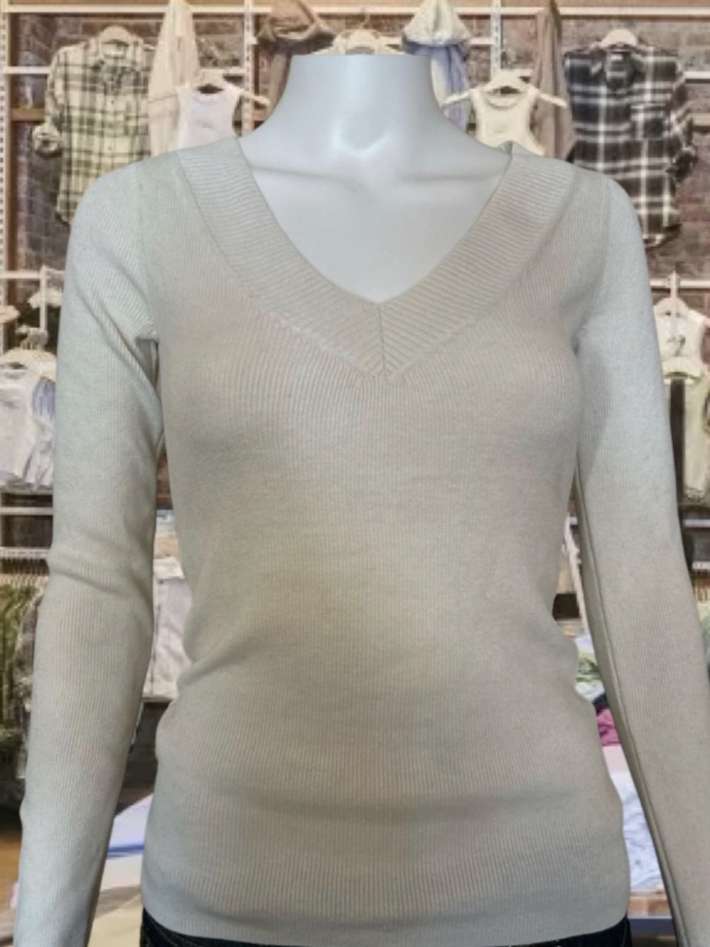 Express V-Neck Sweater